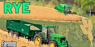 NEW JOHN DEERE HARVESTING RYE - Let's Play Goliszew Farming Simulator 19 | Ep 5