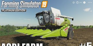 Agri Farm | Harvesting Wheat | Timelapse #5 | FS19 | Farming Simulator 19