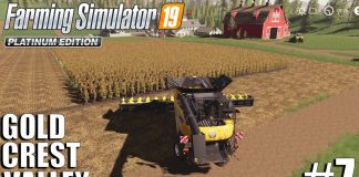 Sunflowers Harvest - Gold Crest Valley | Timelapse #7 | fs19 | Farming Simulator 19