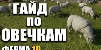 ГАЙД по ОВЕЧКАМ Farming Simulator 19 | РАЗВОДИМ ОВЕЦ В Ферме 19