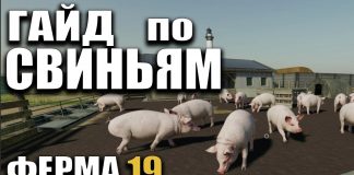 ГАЙД по СВИНЬЯМ Farming Simulator 19 | РАЗВОДИМ СВИНЕЙ В Ферме 19