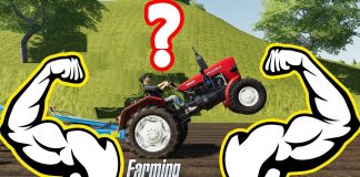 Farming Simulator 19 : WHICH IS THE POWER MINI TRACTOR ??