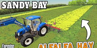 TEDDING THE ALFALFA AND FINISHING THE RYE  | Sandy Bay Farming Simulator 19 - Episode 11
