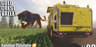 THE WILD PREDATOR OF SUGARBEETS | Gold Crest Valley | Timelapse #23 | fs19 | Farming Simulator 19