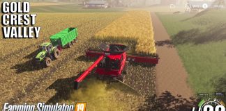 MAJOR CANOLA HARVEST | Gold Crest Valley | Timelapse #22 | fs19 | Farming Simulator 19