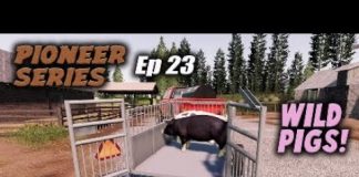 PIONEER Series HOLMAKRA Ep 23 Farming Simulator 19 PS4 Let's Play FS19.