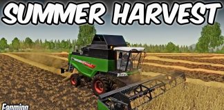The Valley The Old Farm - Episode 1 (I Think...) | Farming Simulator 19