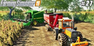 Harvesting sunflower, spreading lime & manure, sowing wheat | Gemeinde Rade | FS 19 | Timelapse #27