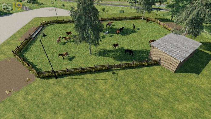 big-horse-stable-750x422-74.jpg