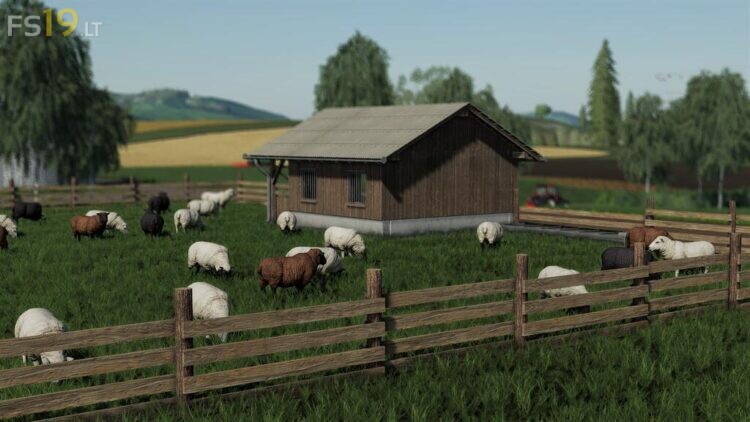 sheep-pasture-750x422-13.jpg