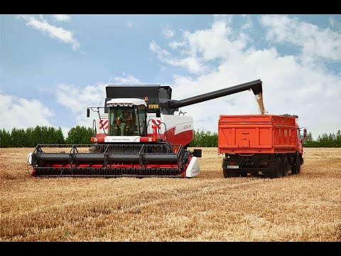 Безлюдная земля, играем в Farming Simulator 19 Online No man's land