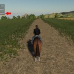 First-Person-Horse-Riding-Camera-2-27.jpg