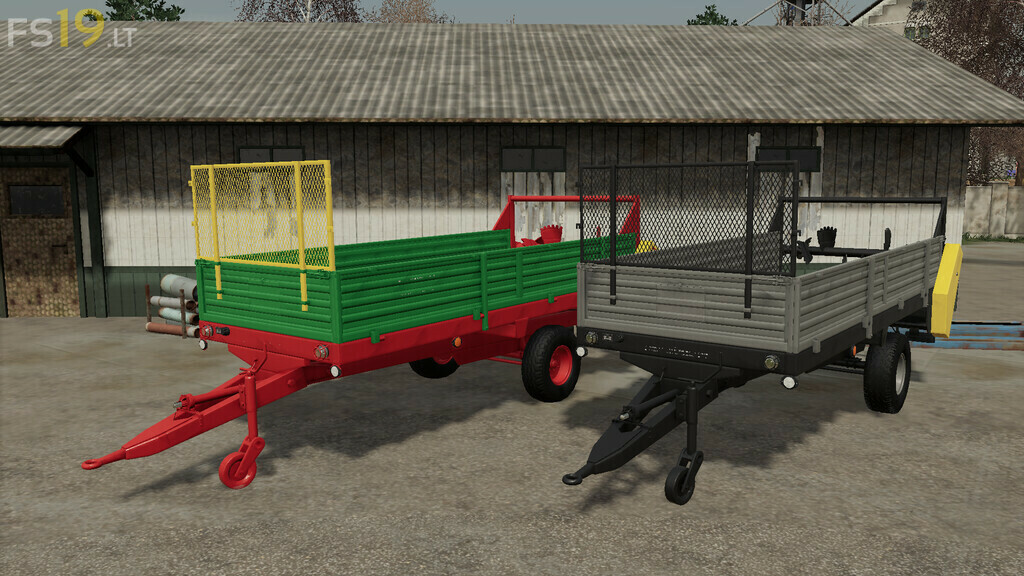 Lizard-N219-5-0.jpg
