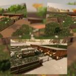 dairy-sheep-v1.0-fs19-2-160×160-43.jpg