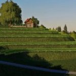 wellcome-to-slovenia-19-v1.0-fs19-5-160×160-5.jpg