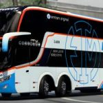 campione-invictus-dd-scania-6×2-8×2-ets2-1.41-ets2-2-277×200-78.jpg