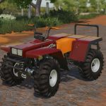 Lizard-Quad-Bear-350-4×4-2-48.jpg