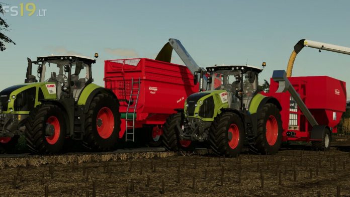 Maize-Plus-CCM-Extension-1-18.jpg