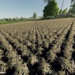 almostafarm-productions-v1.3-fs19-1-160×160-52.jpg