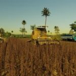 pioneiros-atoleiro-e-animais-v3-fs19-1-160×160-100.jpg